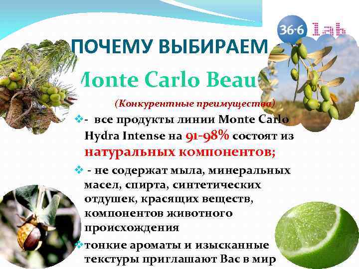ПОЧЕМУ ВЫБИРАЕМ Monte Carlo Beauty (Конкурентные преимущества) v - все продукты линии Monte Carlo