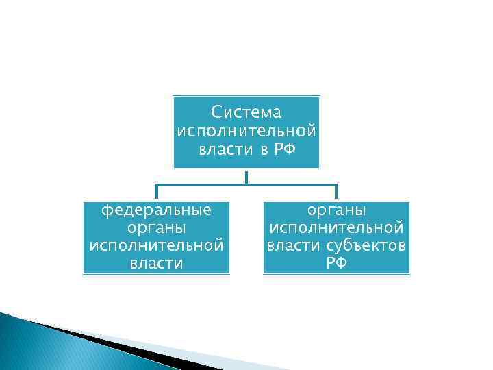 Система исполнительной власти в РФ федеральные органы исполнительной власти субъектов РФ 