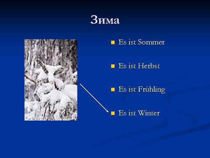 Зима n Es ist Sommer n Es ist Herbst n Es ist Frühling n