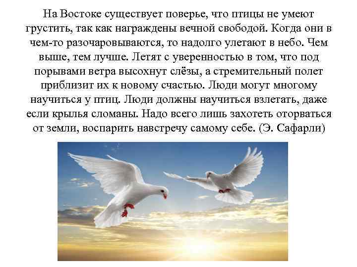 На Востоке существует поверье, что птицы не умеют грустить, так как награждены вечной свободой.