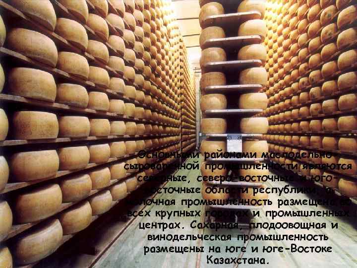 Основными районами маслодельносыроваренной промышленности являются северные, северо-восточные и юговосточные области республики, а молочная промышленность