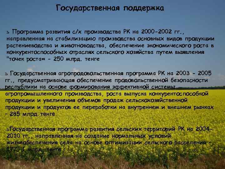 Государственная поддержка ь Программа развития с/х производства РК на 2000 -2002 гг. , направленная