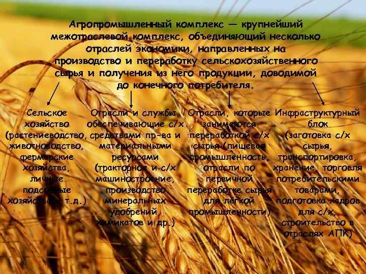 Агропромышленный комплекс — крупнейший межотраслевой комплекс, объединяющий несколько отраслей экономики, направленных на производство и