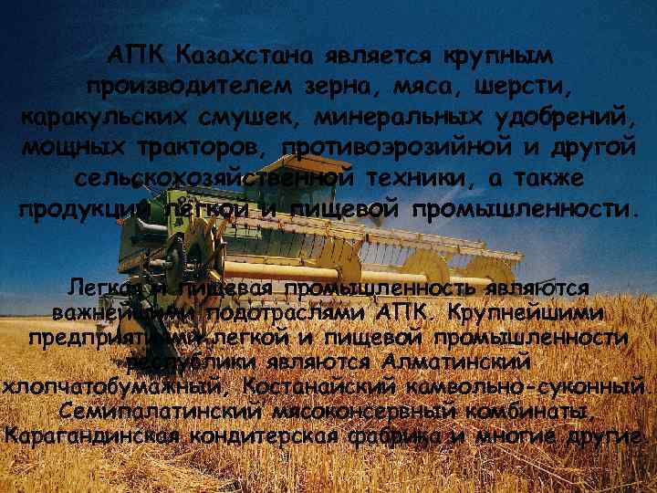 АПК Казахстана является крупным производителем зерна, мяса, шерсти, каракульских смушек, минеральных удобрений, мощных тракторов,