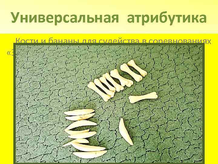 Универсальная атрибутика Кости и бананы для судейства в соревнованиях «Зов джунглей» . Вырезаны из