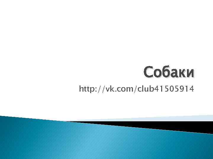 Собаки http: //vk. com/club 41505914 