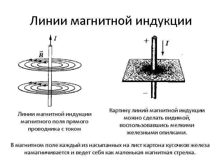 Линии магнитной индукции магнитного поля прямого проводника с током Картину линий магнитной индукции можно