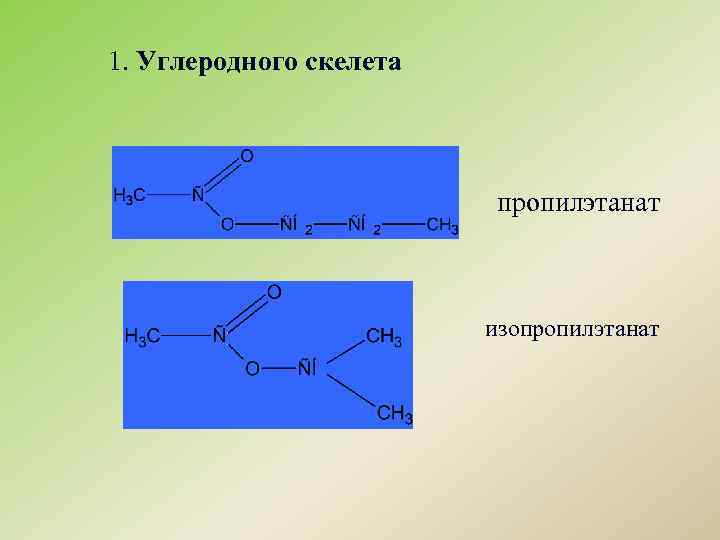 1. Углеродного скелета пропилэтанат изопропилэтанат 