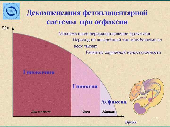 Тесты с ответами гипоксия плода. Гипоксия плода и асфиксия новорожденного. Асфиксия плода реанимационные мероприятия. Проба Залинга гипоксия плода. Гипоксия плода и асфиксия новорожденного диагностика.