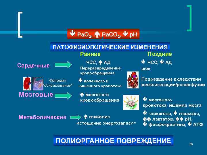  Ра. O 2, Pa. CO 2, p. H ПАТОФИЗИОЛОГИЧЕСКИЕ ИЗМЕНЕНИЯ Ранние Поздние ЧСС,