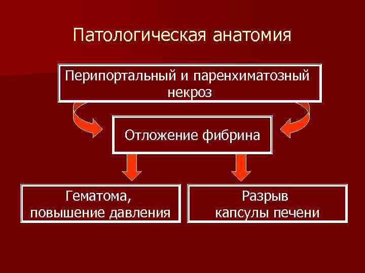 Патологическая анатомия Перипортальный и паренхиматозный некроз Отложение фибрина Гематома, повышение давления Разрыв капсулы печени