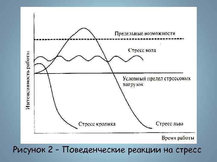 Рисунок 2 – Поведенческие реакции на стресс 