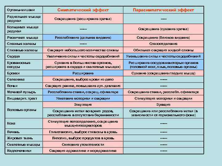 Симпатический эффект Парасимпатический эффект Сокращение (расширение зрачка) ----- Кольцевая мышца радужки ------ Сокращение (сужение