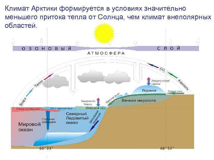 Климат Арктики формируется в условиях значительно меньшего притока тепла от Солнца, чем климат внеполярных