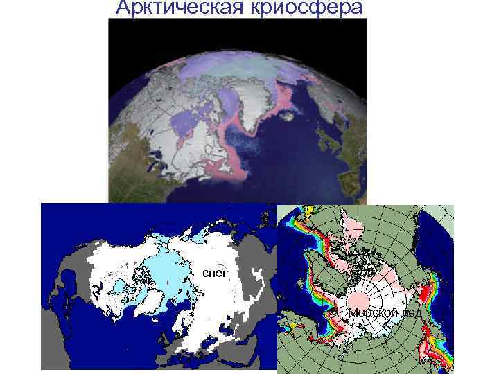 Арктическая криосфера снег Морской лед 