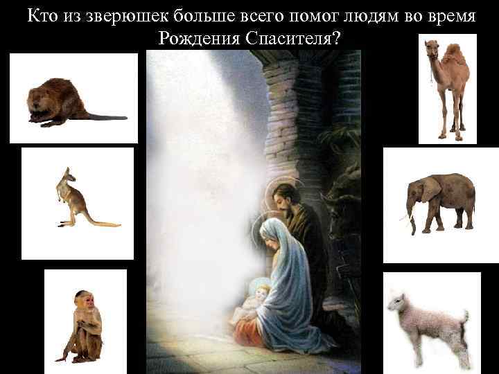 Кто из зверюшек больше всего помог людям во время Рождения Спасителя? 