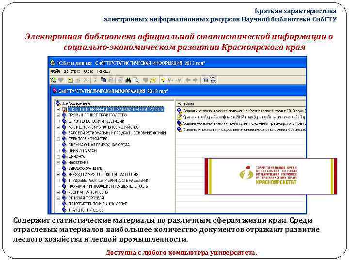 Краткая характеристика электронных информационных ресурсов Научной библиотеки Сиб. ГТУ Электронная библиотека официальной статистической информации