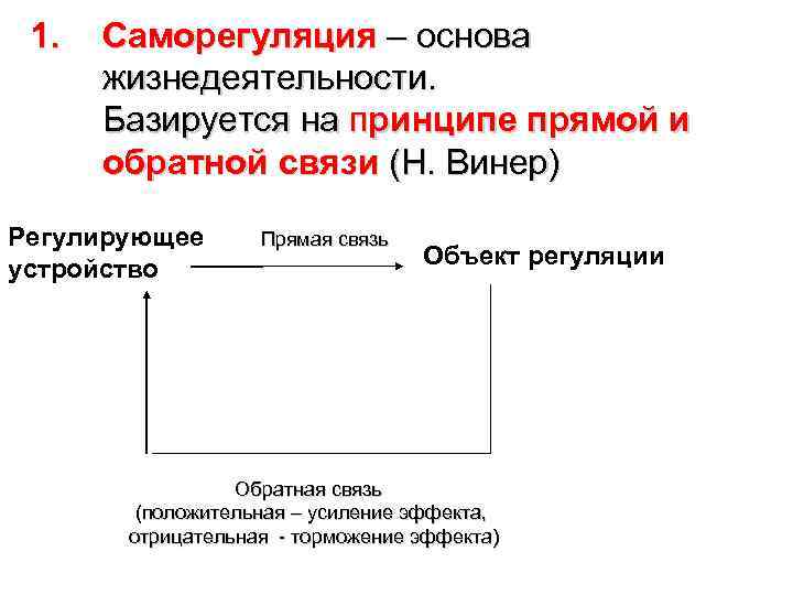 Прямая связь. Обратная связь саморегуляция. Прямая связь саморегуляции. Принципы саморегуляции. Прямая и Обратная саморегуляция.