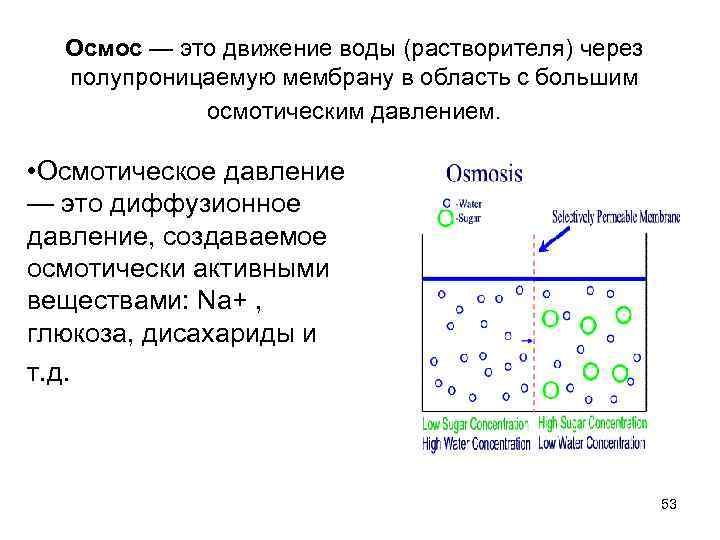 Осмотическое давление глюкоза