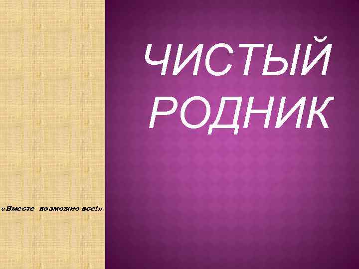 ЧИСТЫЙ РОДНИК «Вместе возможно все!» 