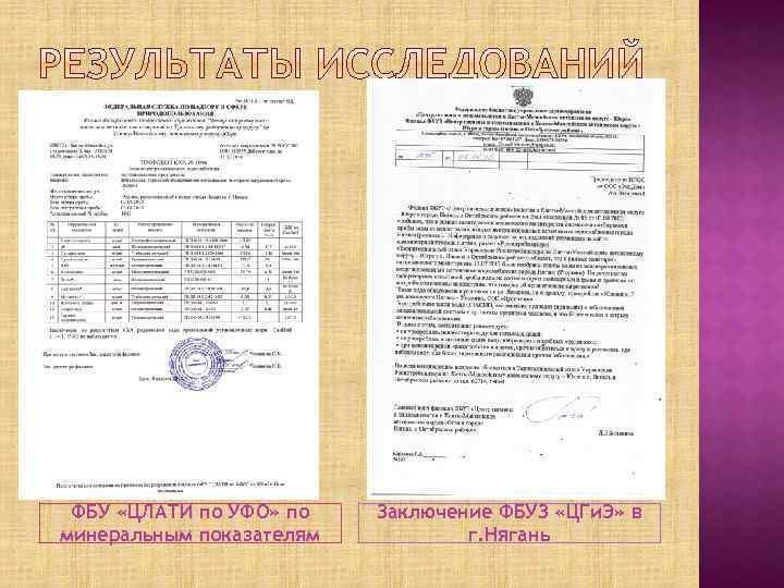 ФБУ «ЦЛАТИ по УФО» по минеральным показателям Заключение ФБУЗ «ЦГи. Э» в г. Нягань