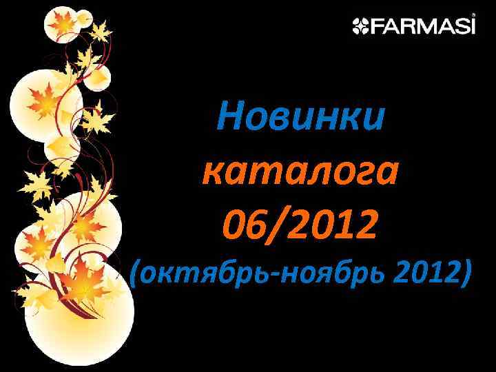Новинки каталога 06/2012 (октябрь-ноябрь 2012) 