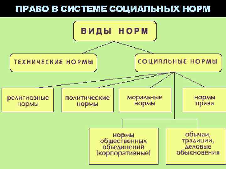 ПРАВО В СИСТЕМЕ СОЦИАЛЬНЫХ НОРМ 