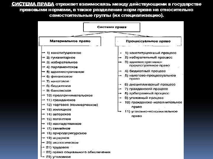 СИСТЕМА ПРАВА отражает взаимосвязь между действующими в государстве правовыми нормами, а также разделение норм