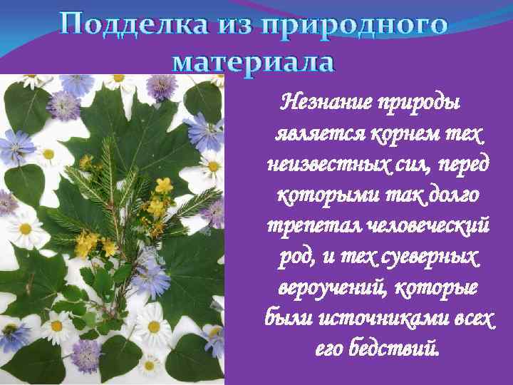Подделка из природного материала Незнание природы является корнем тех неизвестных сил, перед которыми так
