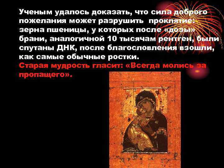 Ученым удалось доказать, что сила доброго пожелания может разрушить проклятие: зерна пшеницы, у которых