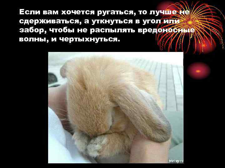 Если вам хочется ругаться, то лучше не сдерживаться, а уткнуться в угол или забор,