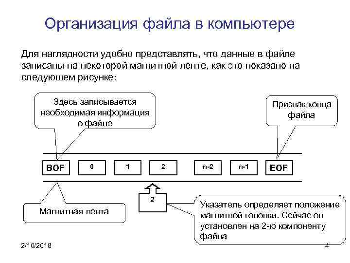 Компоненты файла. Организация файлов. Способы организации файлов. Организация файлов на компьютере. Организование файлов ПК.