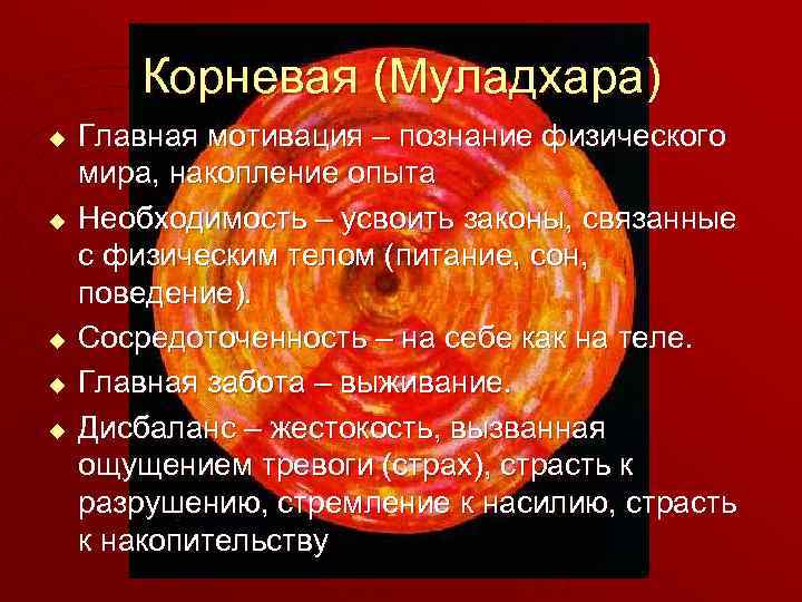 Корневая (Муладхара) u u u Главная мотивация – познание физического мира, накопление опыта Необходимость