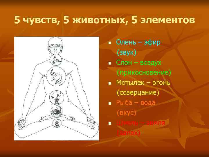 5 чувств, 5 животных, 5 элементов n n n Олень – эфир (звук) Слон