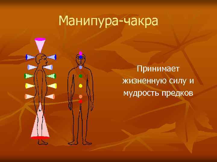 Манипура-чакра Принимает жизненную силу и мудрость предков 