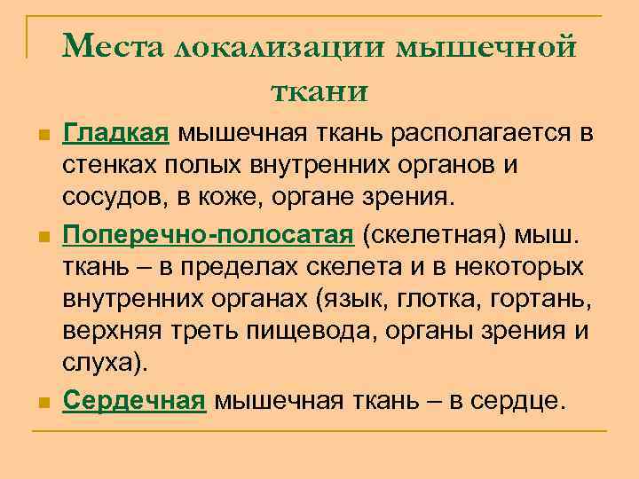 Места локализации мышечной ткани n n n Гладкая мышечная ткань располагается в стенках полых