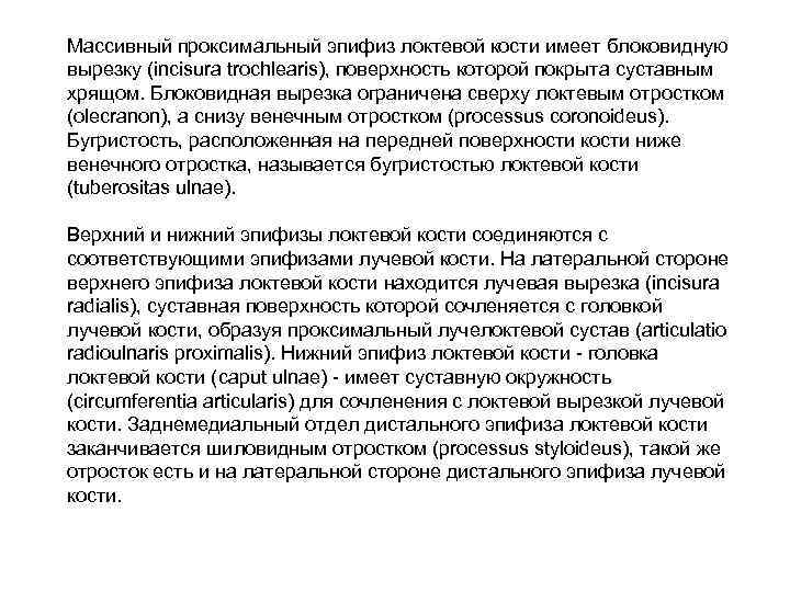 Массивный проксимальный эпифиз локтевой кости имеет блоковидную вырезку (incisura trochlearis), поверхность которой покрыта суставным