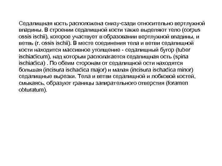 Седалищная кость расположена снизу-сзади относительно вертлужной впадины. В строении седалищной кости также выделяют тело