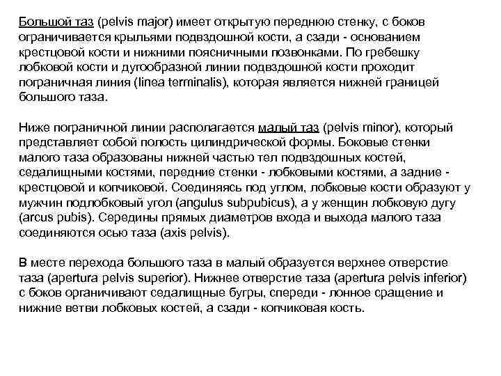 Большой таз (pelvis major) имеет открытую переднюю стенку, с боков ограничивается крыльями подвздошной кости,