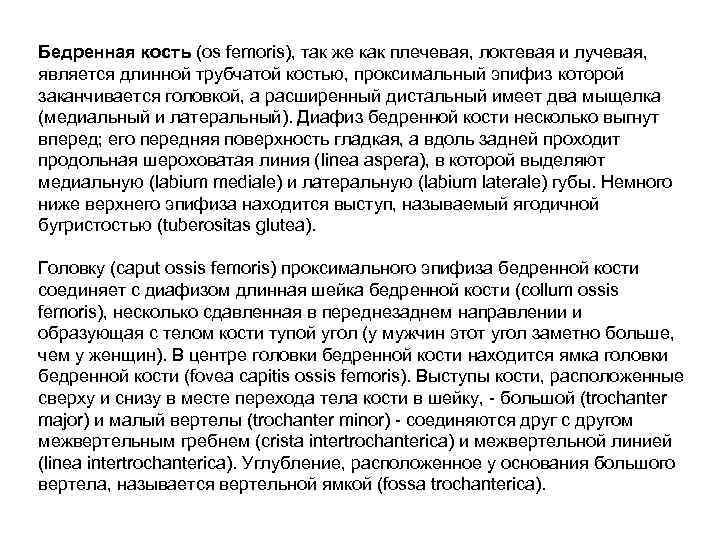 Бедренная кость (os femoris), так же как плечевая, локтевая и лучевая, является длинной трубчатой
