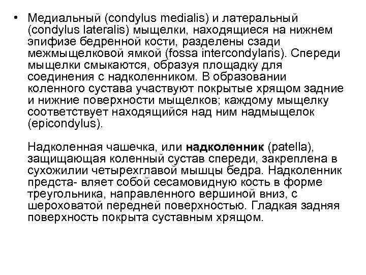  • Медиальный (condylus medialis) и латеральный (condylus lateralis) мыщелки, находящиеся на нижнем эпифизе