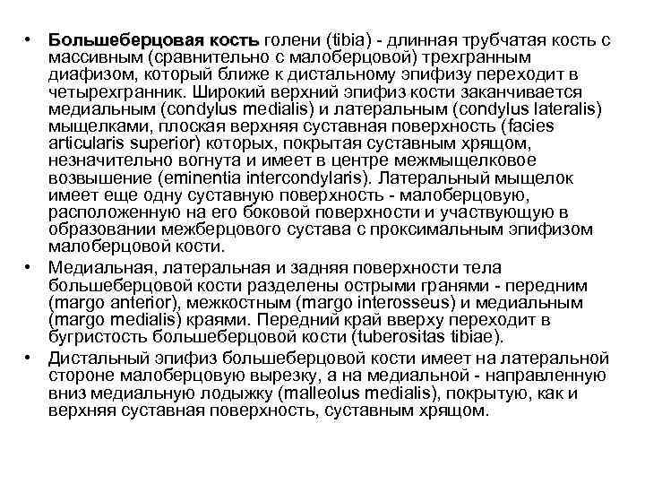 • Большеберцовая кость голени (tibia) - длинная трубчатая кость с кость массивным (сравнительно