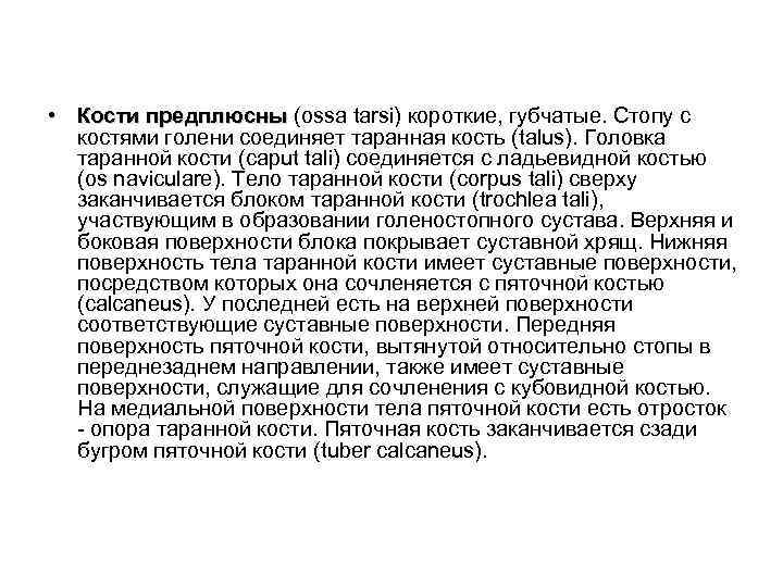  • Кости предплюсны (ossa tarsi) короткие, губчатые. Стопу с предплюсны костями голени соединяет
