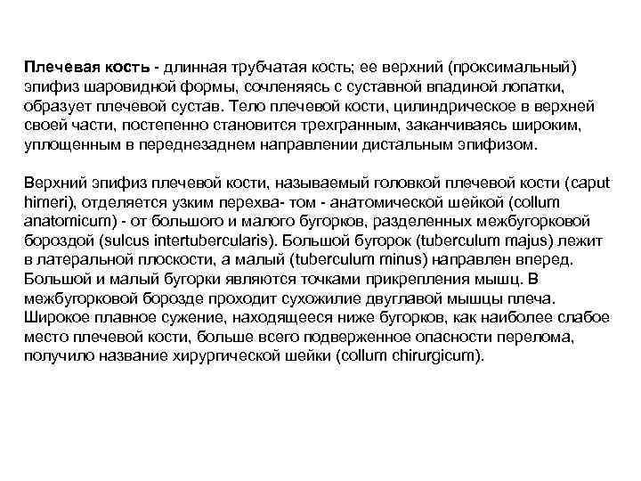 Плечевая кость - длинная трубчатая кость; ее верхний (проксимальный) эпифиз шаровидной формы, сочленяясь с
