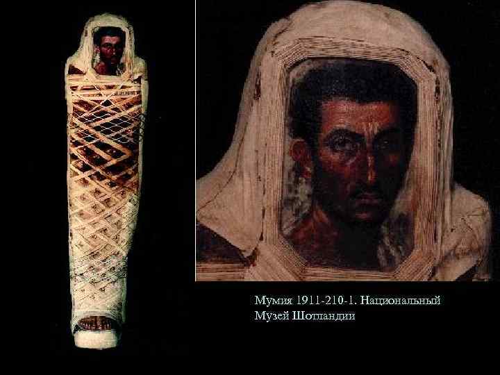 Мумия 1911 -210 -1. Национальный Музей Шотландии 