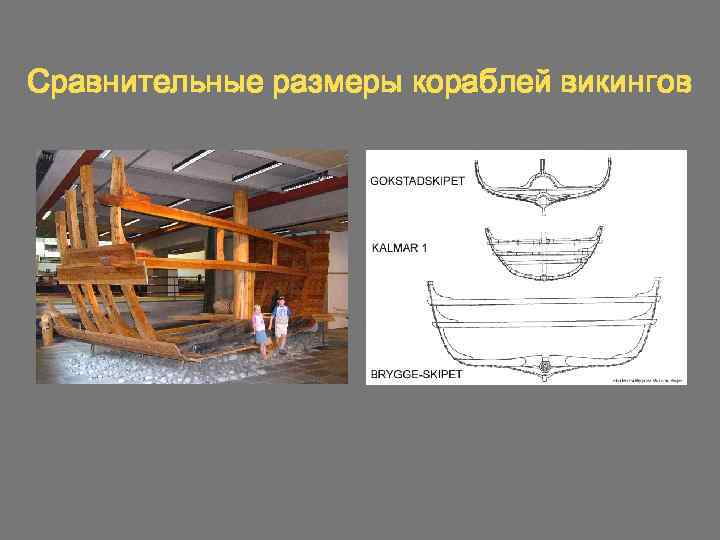 Сравнительные размеры кораблей викингов 