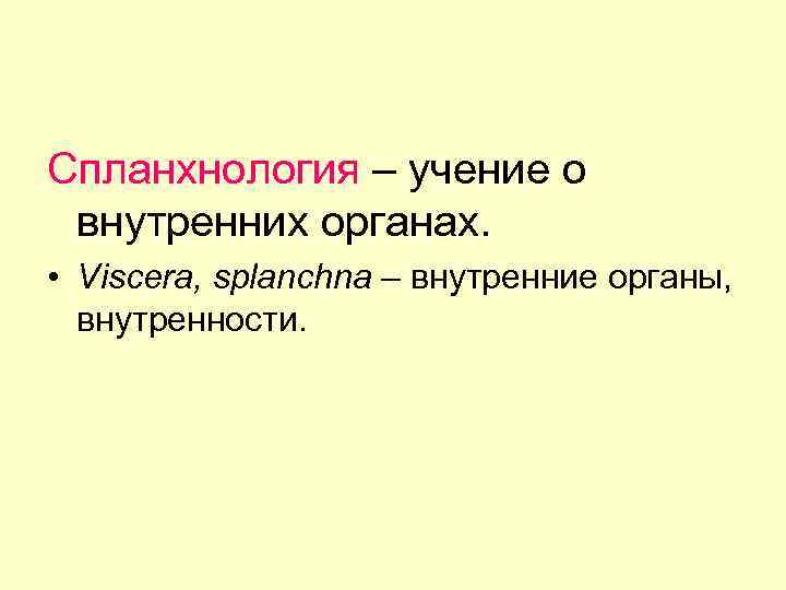 Спланхнология – учение о внутренних органах. • Viscera, splanchna – внутренние органы, внутренности. 