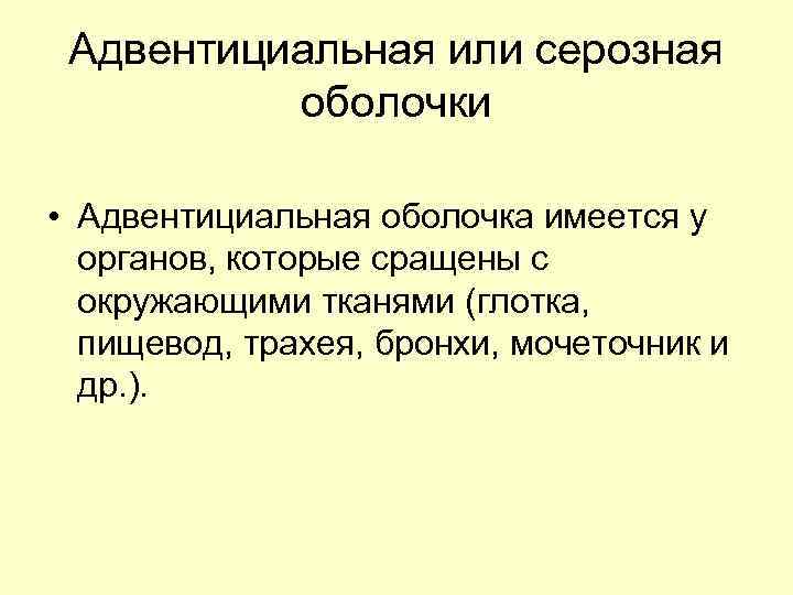 Адвентициальная или серозная оболочки • Адвентициальная оболочка имеется у органов, которые сращены с окружающими