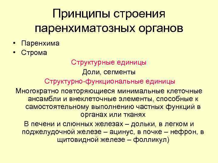 Паренхиматозные органы. Структурно функциональные единицы паренхиматозных органов. Строение паренхиматозного органа анатомия. Общий план строения паренхиматозных органов. Принцип строения паренхиматозных органов.