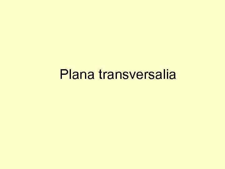 Plana transversalia 